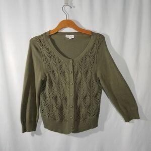 Sage green Decorative Front Knit Cardigan